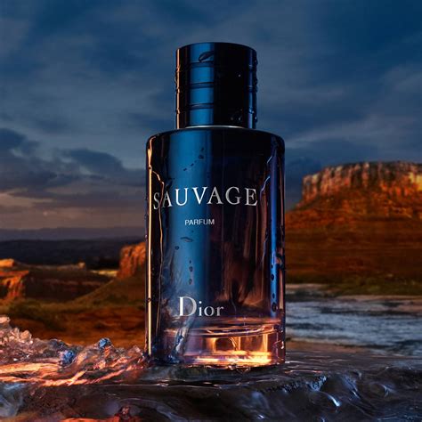 recharge sauvage dior 100ml|dior sauvage 50ml price.